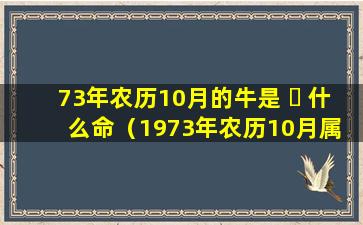 73年农历10月的牛是 ☘ 什么命（1973年农历10月属 🌾 牛的是什么命）